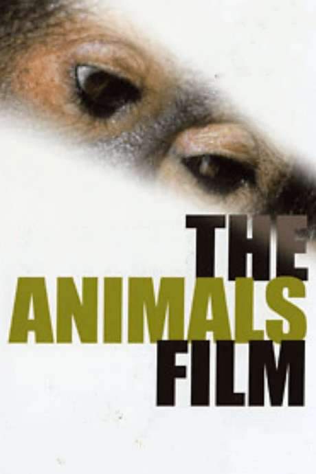 The Animals Film